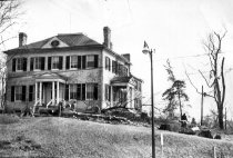 Conrad house, tree removal